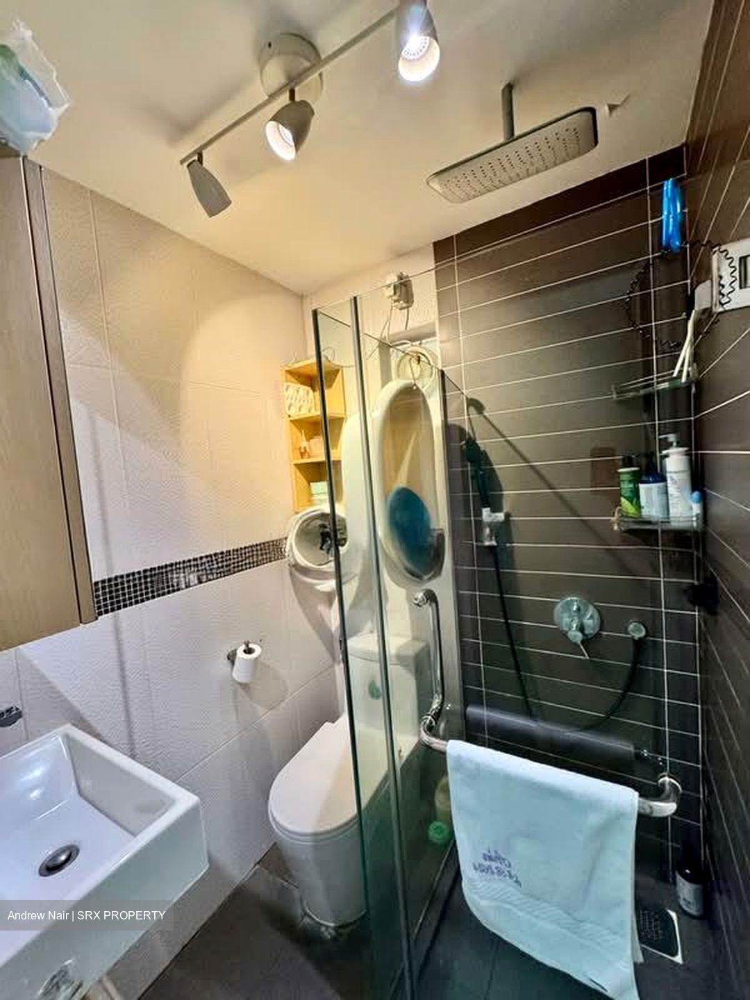 Novena Hill (D11), Apartment #578742791